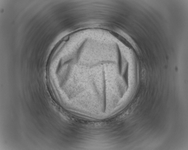 X0000077321051200611101453