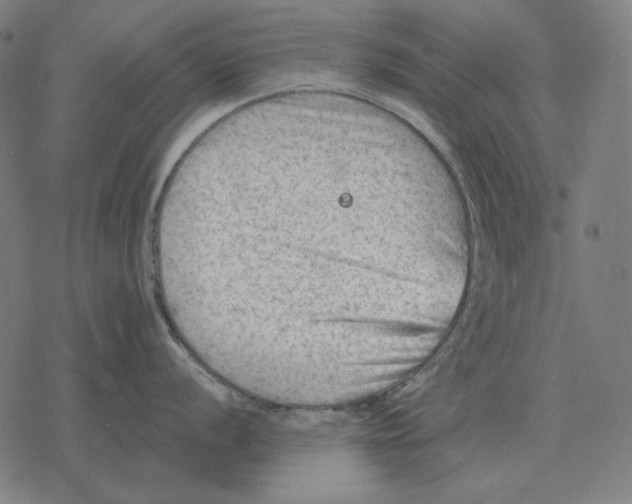 X0000077321056200611101453