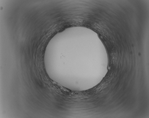 X0000077321057200611101452