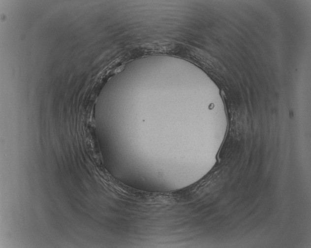 X0000077321058200611101452