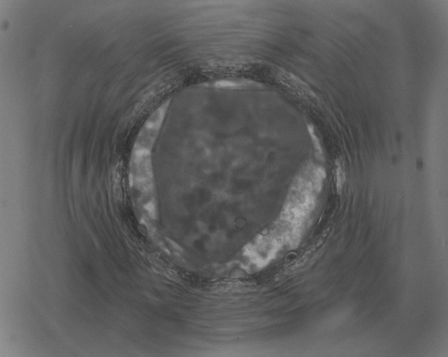 X0000077321059200611101452