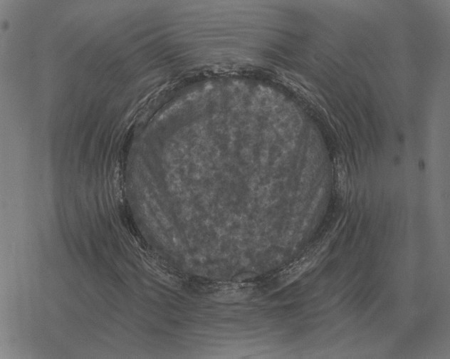 X0000077321060200611101452