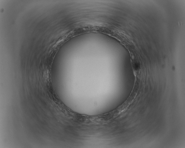 X0000077321061200611101452