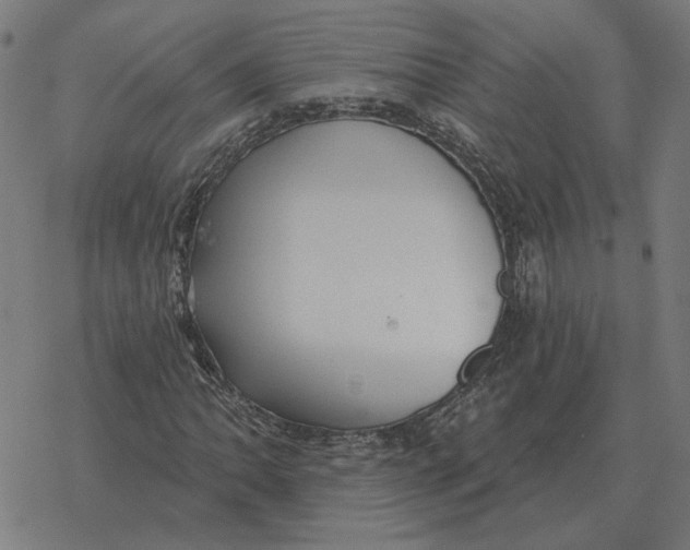 X0000077321062200611101452