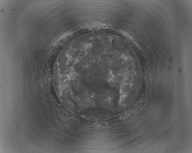 X0000077321063200611101452