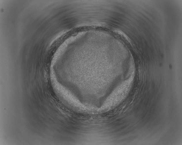 X0000077321064200611101452