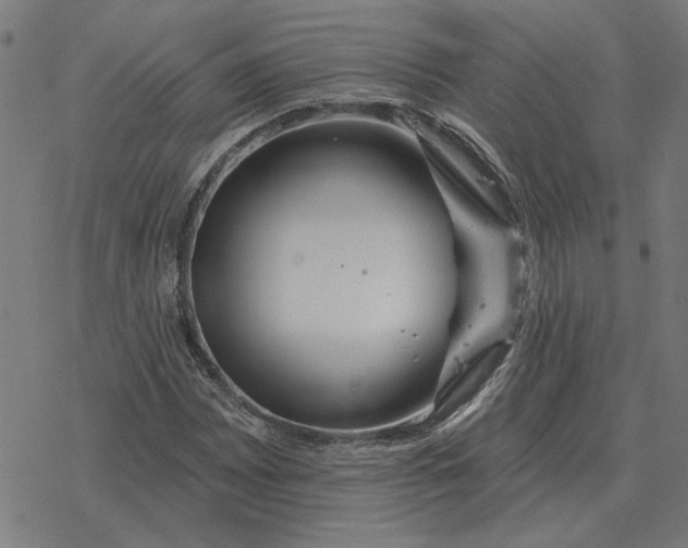 X0000077321065200611101452