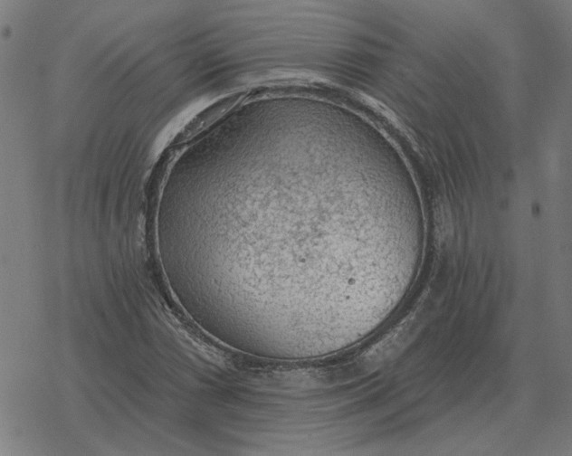 X0000077321066200611101452