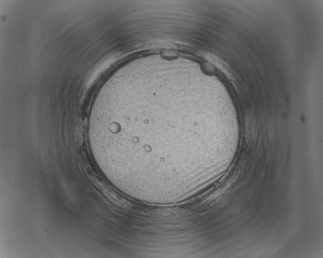 X0000077321067200611101452