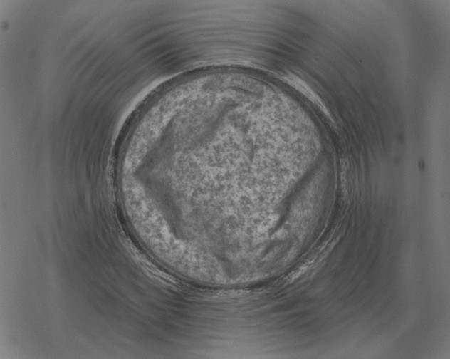 X0000077321068200611101452