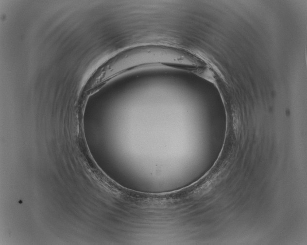 X0000077321069200611101452