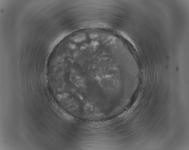 X0000077321071200611101452