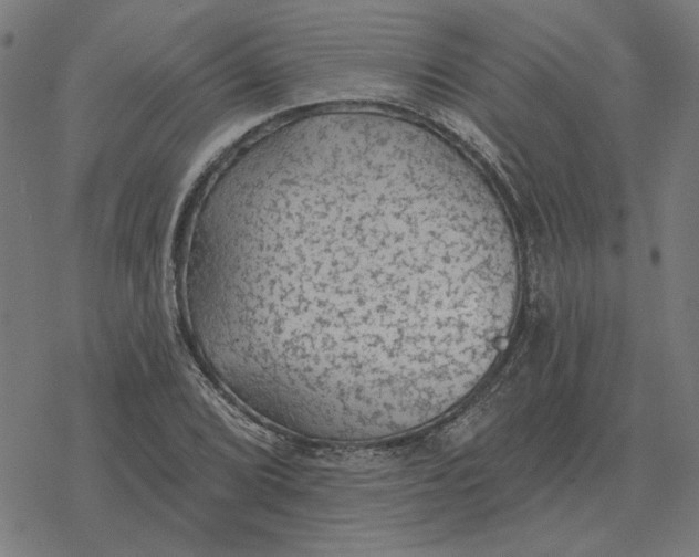 X0000077321072200611101452