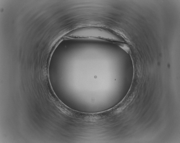 X0000077321073200611101452