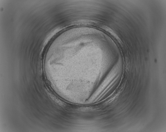 X0000077321075200611101452