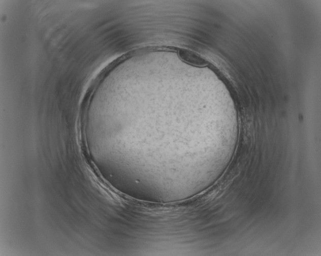 X0000077321076200611101452