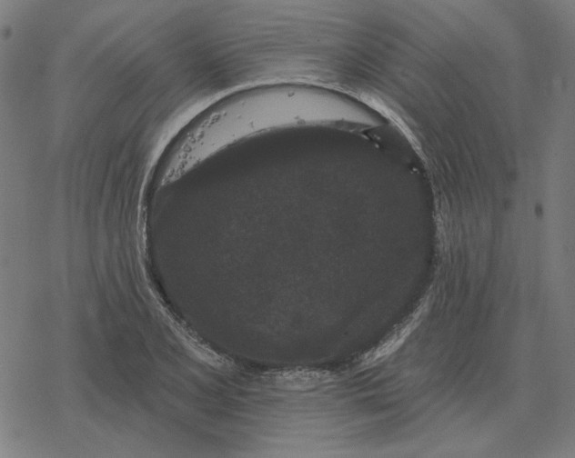 X0000077321077200611101452