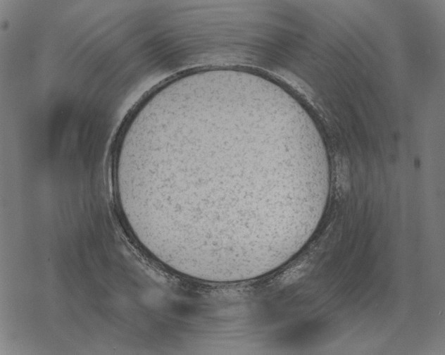 X0000077321078200611101452