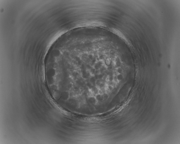 X0000077321079200611101452