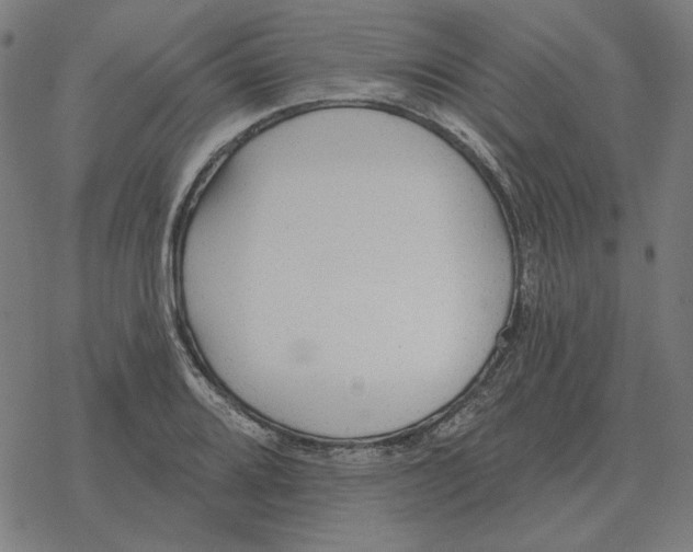 X0000077321080200611101452