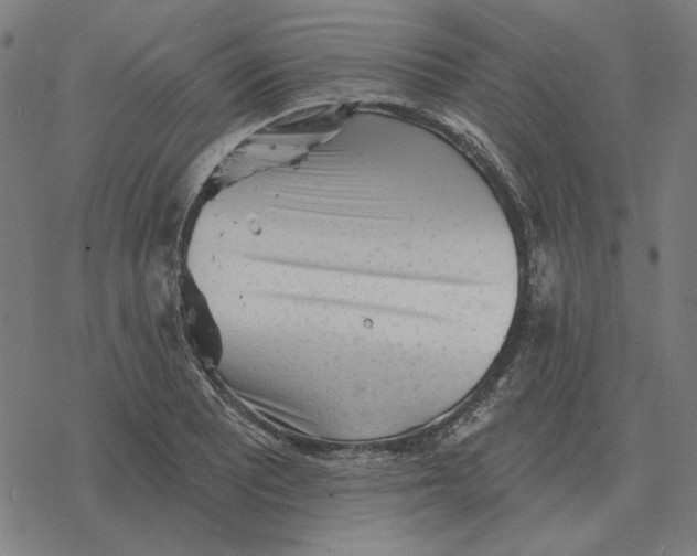 X0000077321081200611101452