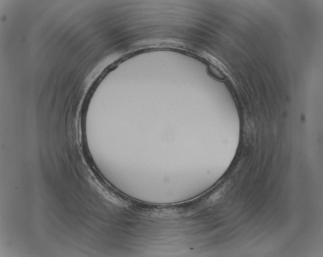 X0000077321082200611101452