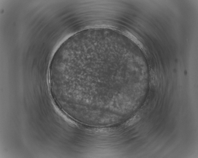 X0000077321084200611101452