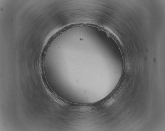 X0000077321085200611101452