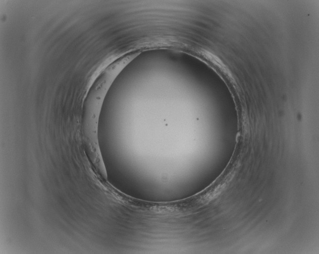 X0000077321089200611101452