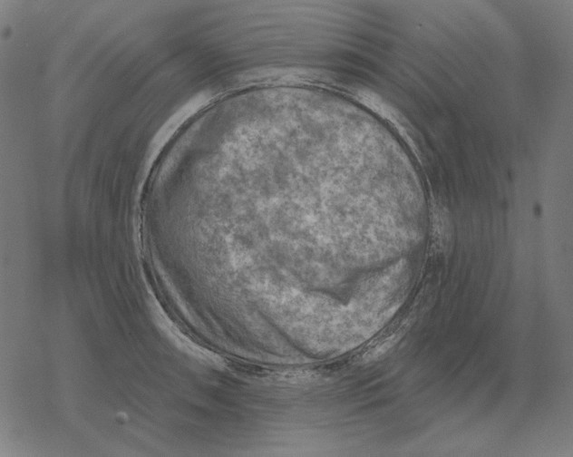 X0000077321090200611101452