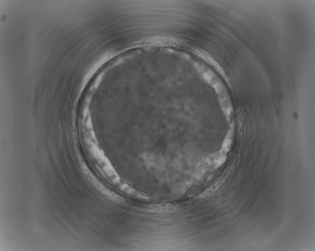 X0000077321091200611101452