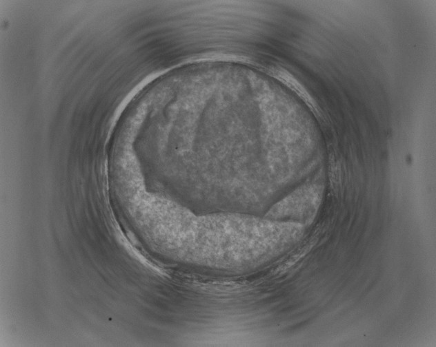 X0000077321092200611101452