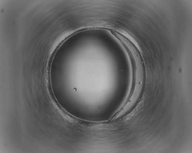 X0000077321093200611101452