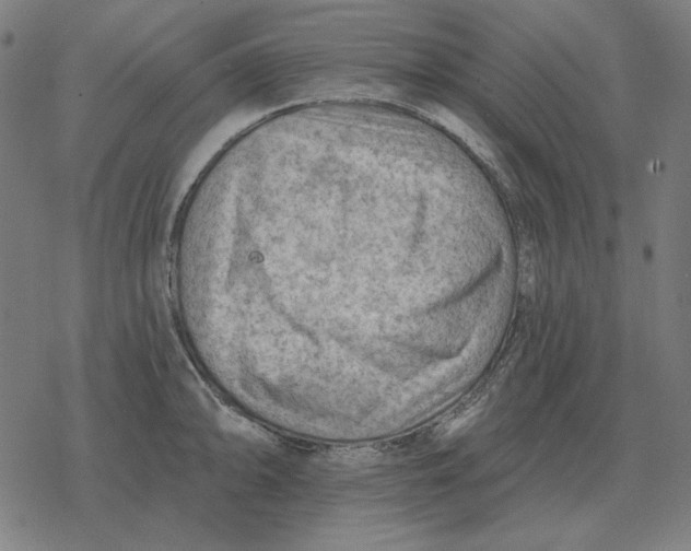 X0000077321094200611101452