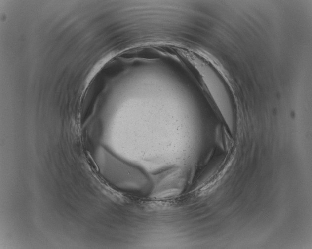 X0000077321097200611101452