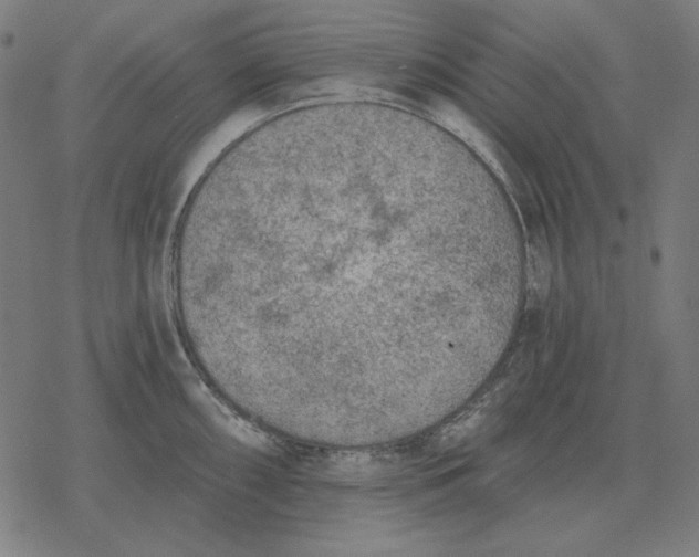 X0000077321098200611101452