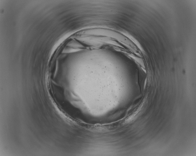 X0000077321101200611101452