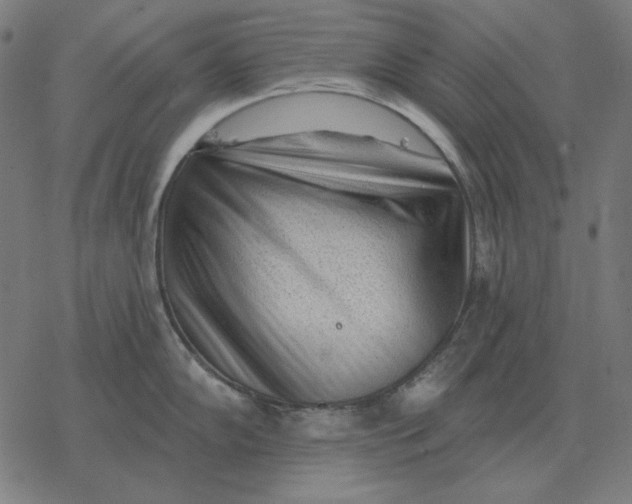 X0000077321102200611101452