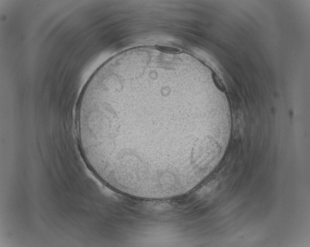 X0000077321103200611101452