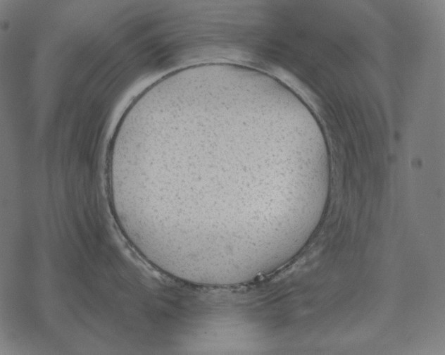 X0000077321104200611101452