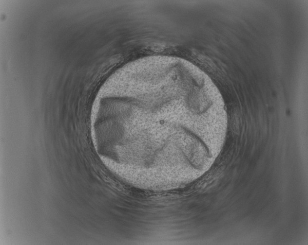 X0000077321105200611101451