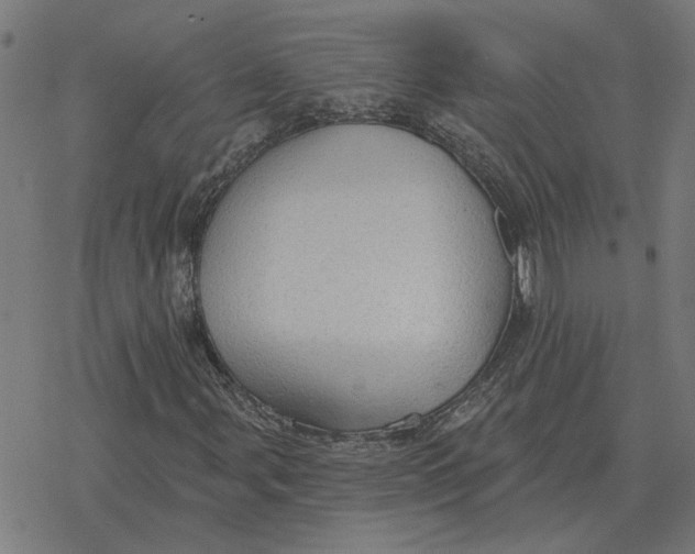 X0000077321107200611101451