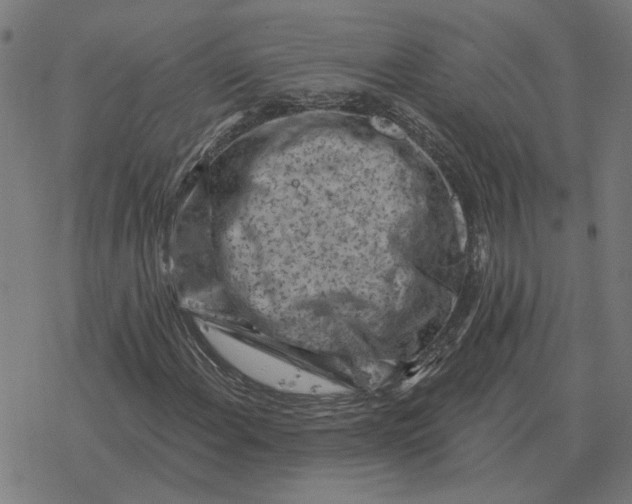 X0000077321108200611101451