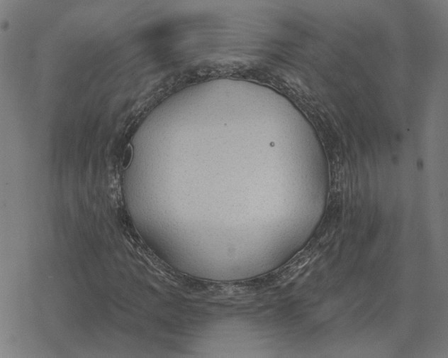 X0000077321109200611101451