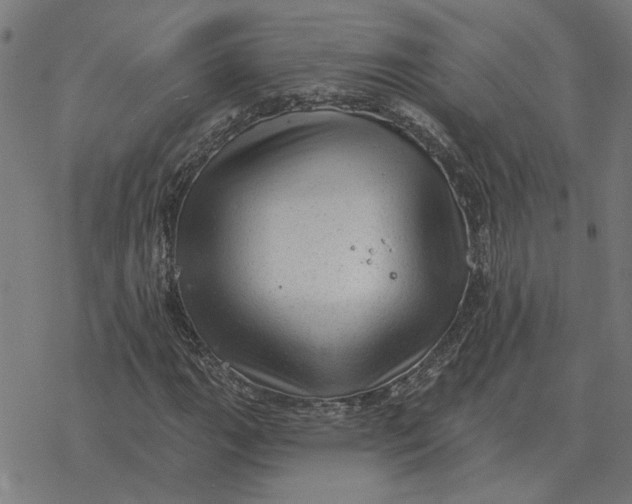 X0000077321111200611101451