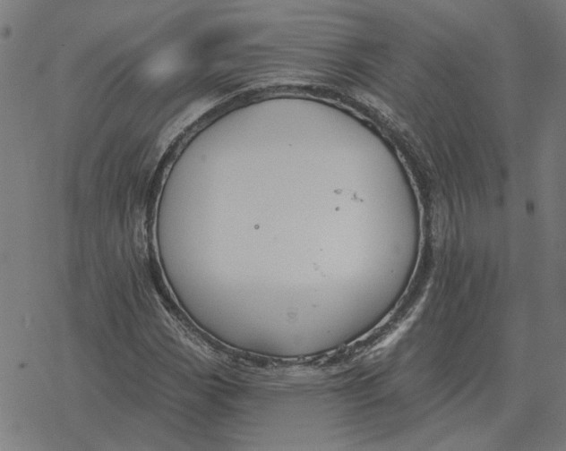 X0000077321113200611101451