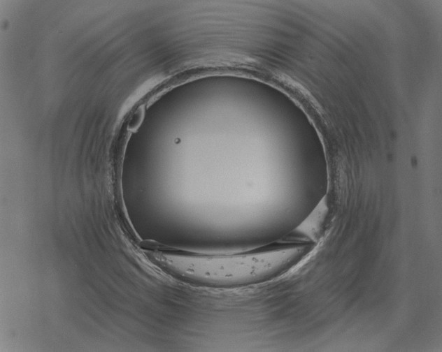 X0000077321114200611101451