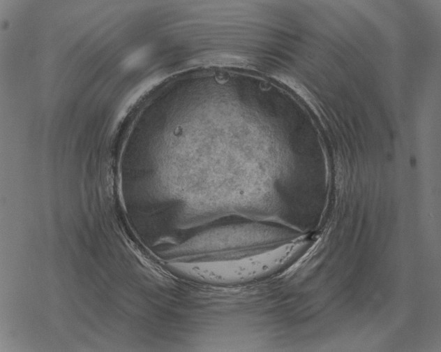 X0000077321115200611101451