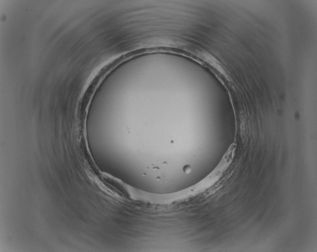 X0000077321116200611101451