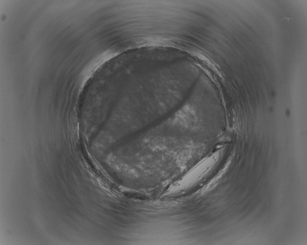 X0000077321117200611101451